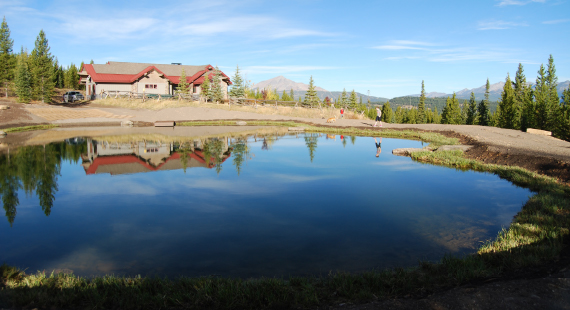 pond excavation